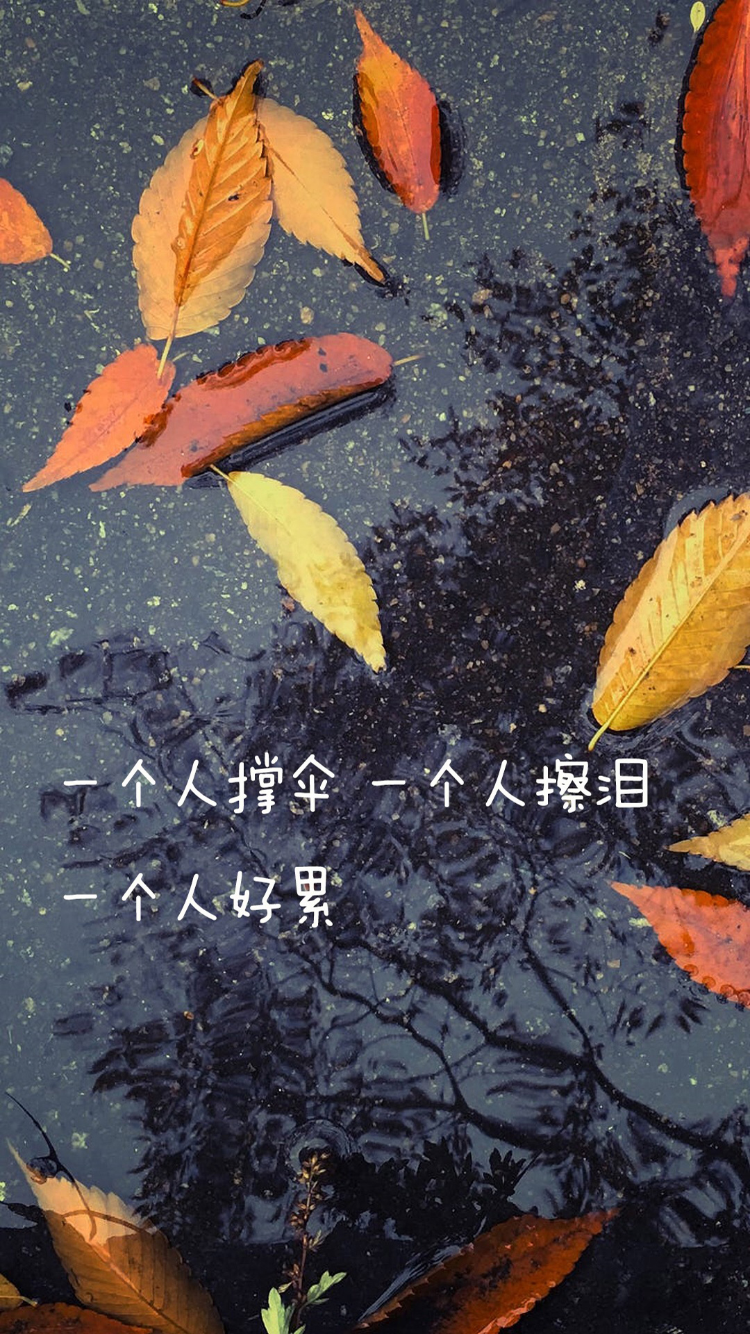 一个人撑伞 擦泪 好累 雨水 落叶 枯黄 苹果手机高清