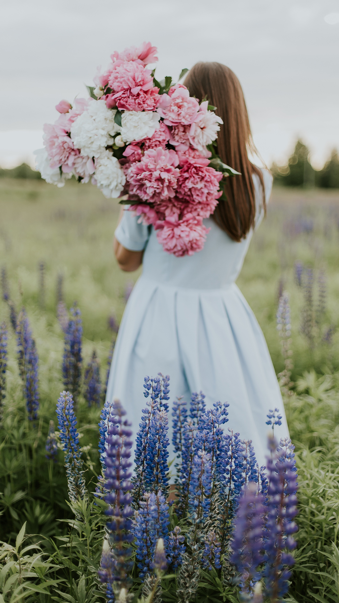 女孩 背影 鲜花 鲁冰花 苹果手机高清壁纸 1080x1920