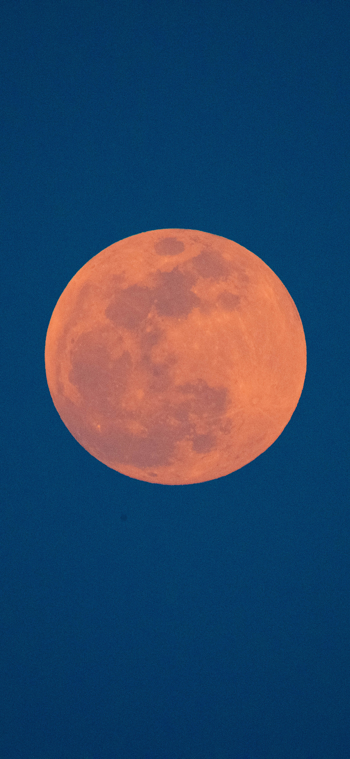 月球 星球 夜晚 圆 苹果手机高清壁纸 1125x2436_爱思