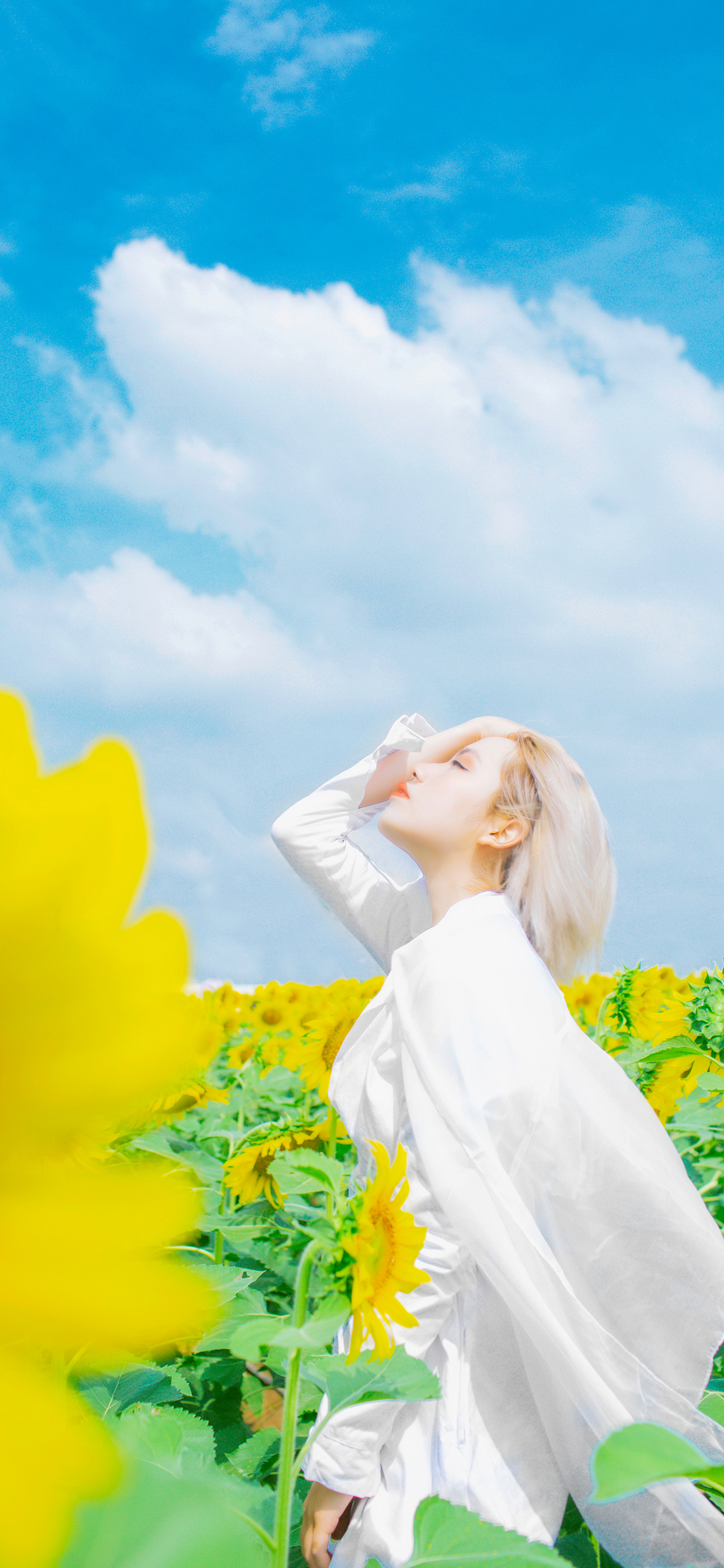 花田 向日葵 天空 蔚蓝 短发 女孩 苹果手机高清壁纸