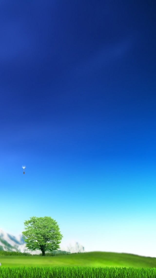 1457360548075.jpg