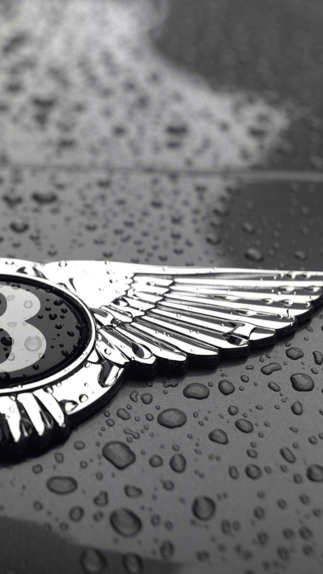宾利 名车 标识 logo 苹果手机高清壁纸 640x1136_爱思助手