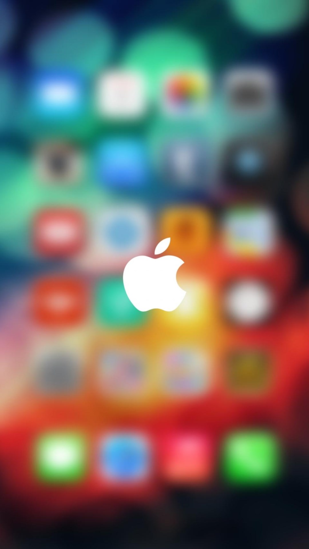 1482723286612_824946.jpg