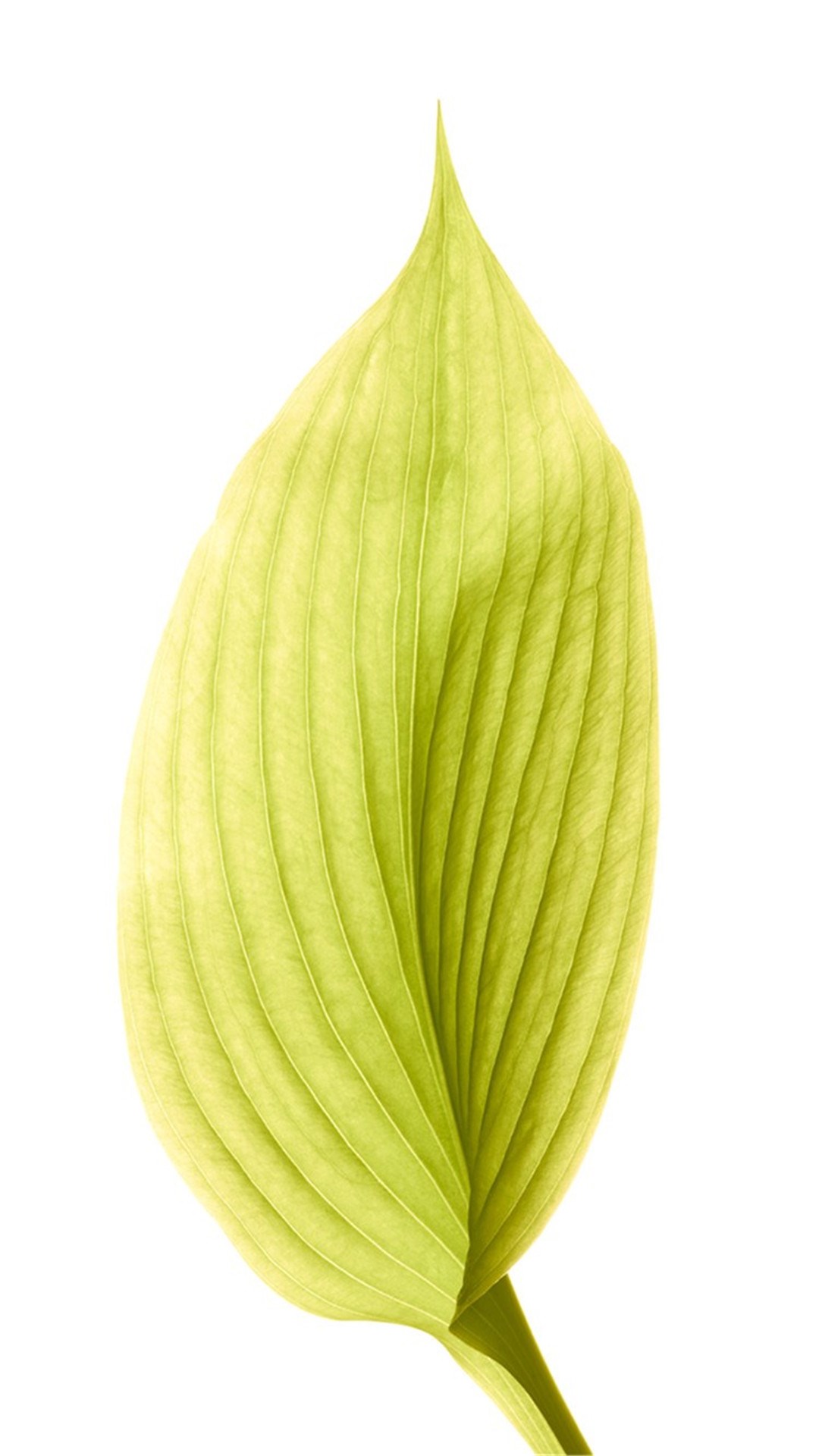 1482723291586_294355.jpg