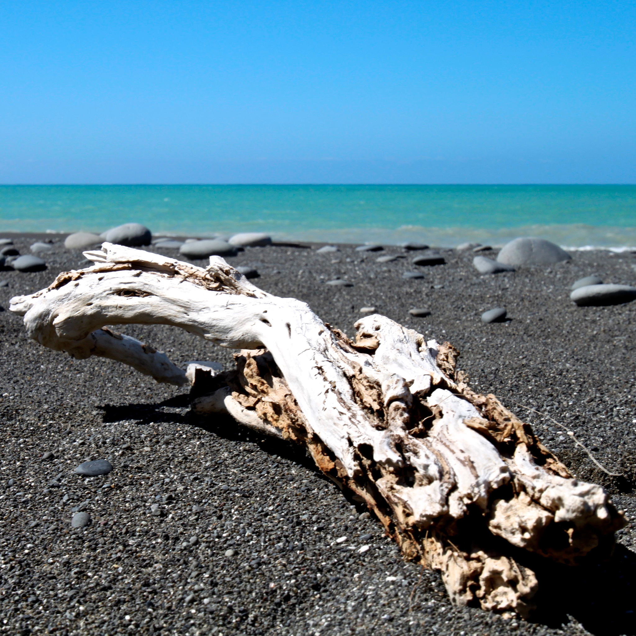 海边景色 鹅卵石 枯木 蓝色 苹果手机高清壁纸
