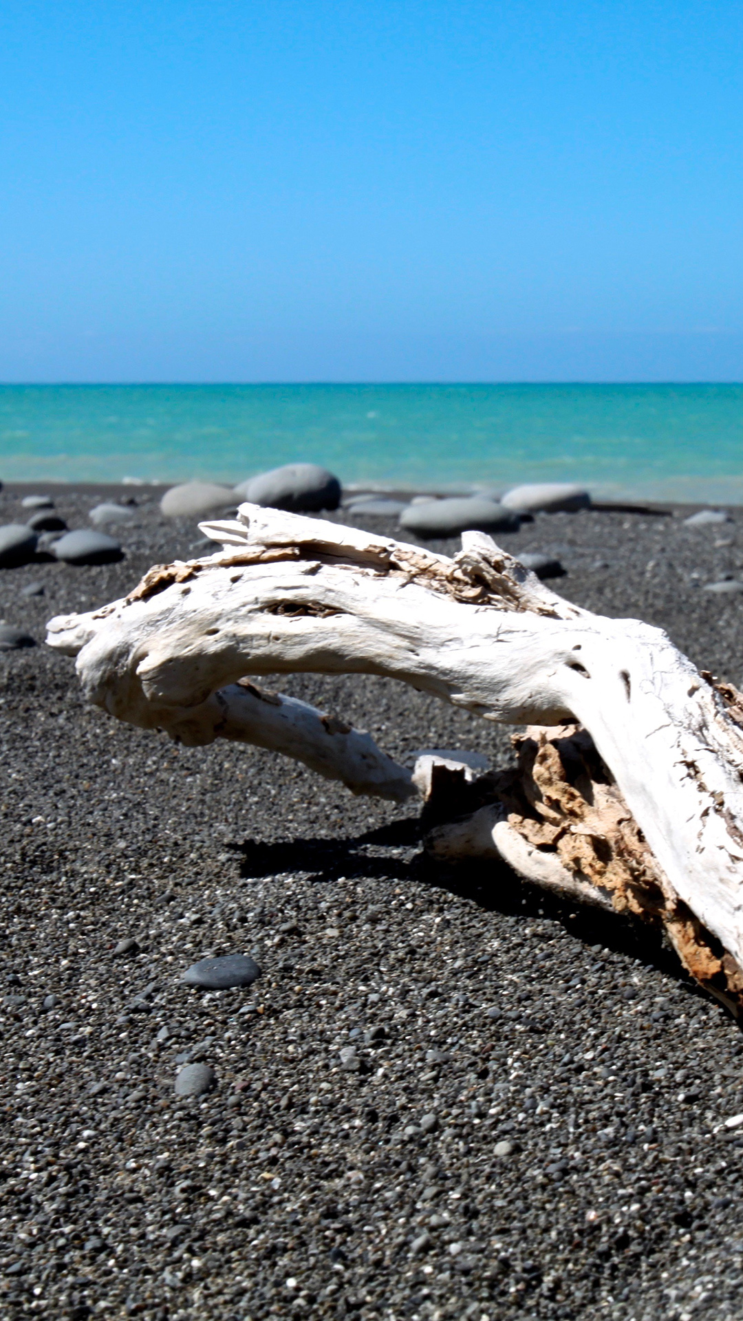 海边景色 鹅卵石 枯木 蓝色 苹果手机高清壁纸