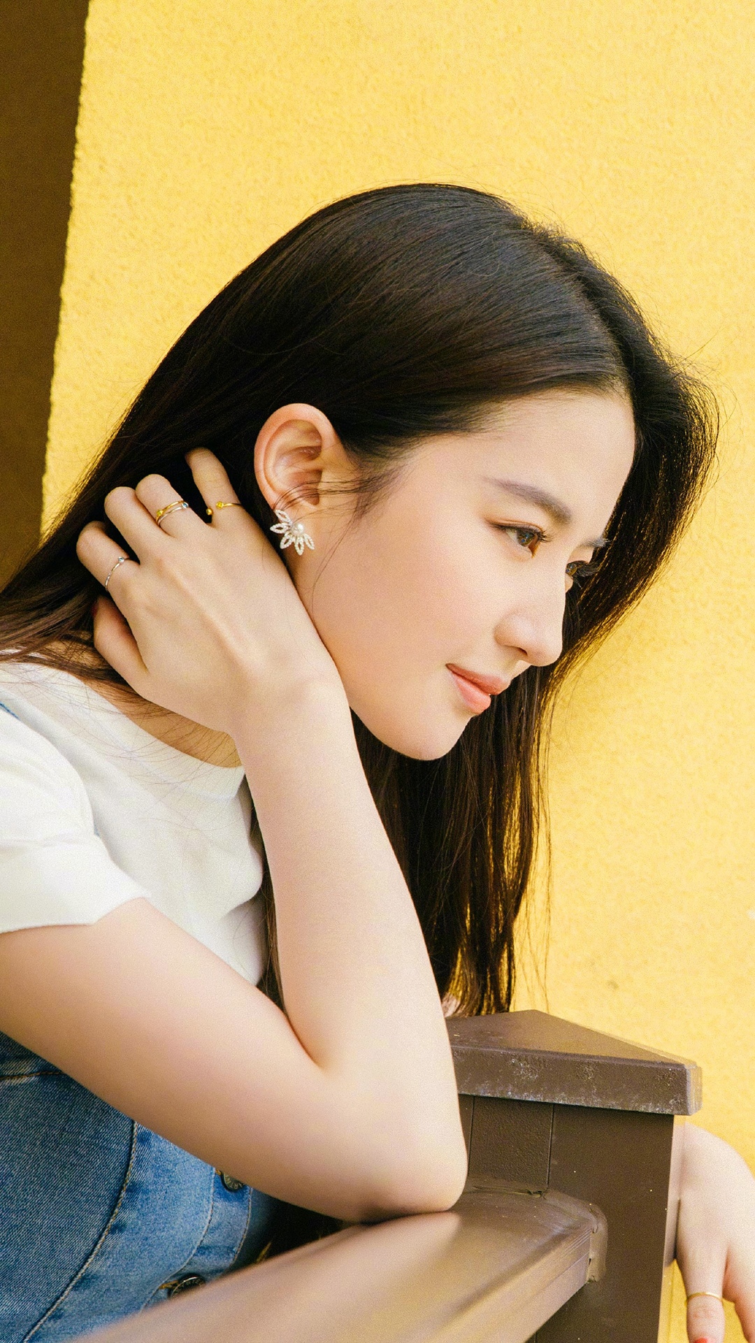 亦菲 演员 女神 艺人 苹果手机高清壁纸 1080x1