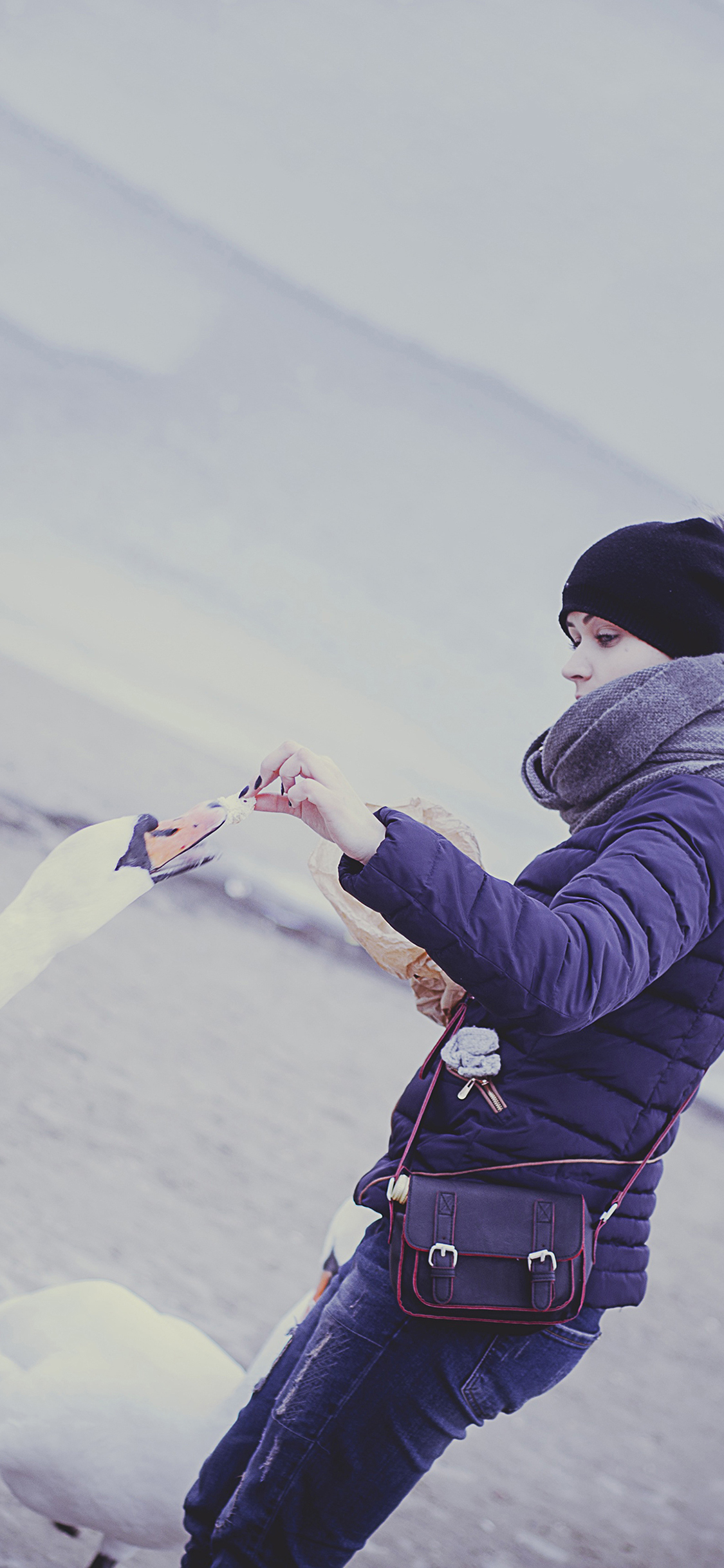 欧美美女 天鹅 喂食 苹果手机高清壁纸 1125x2436_爱思助手