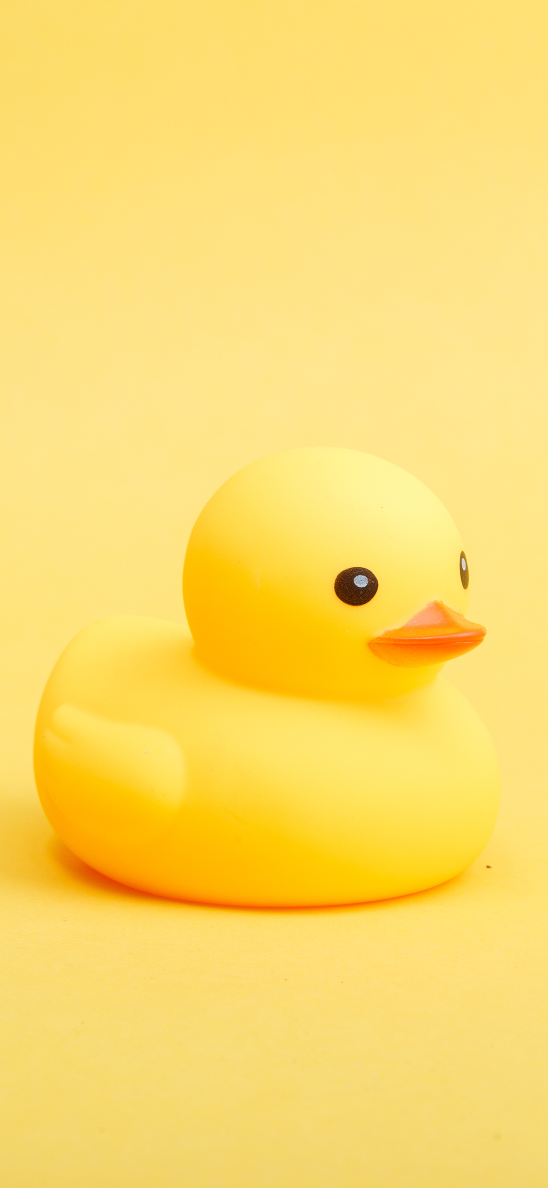 小黄鸭 橡胶鸭 玩具 黄色 可爱 苹果手机高清壁纸 1125x2436