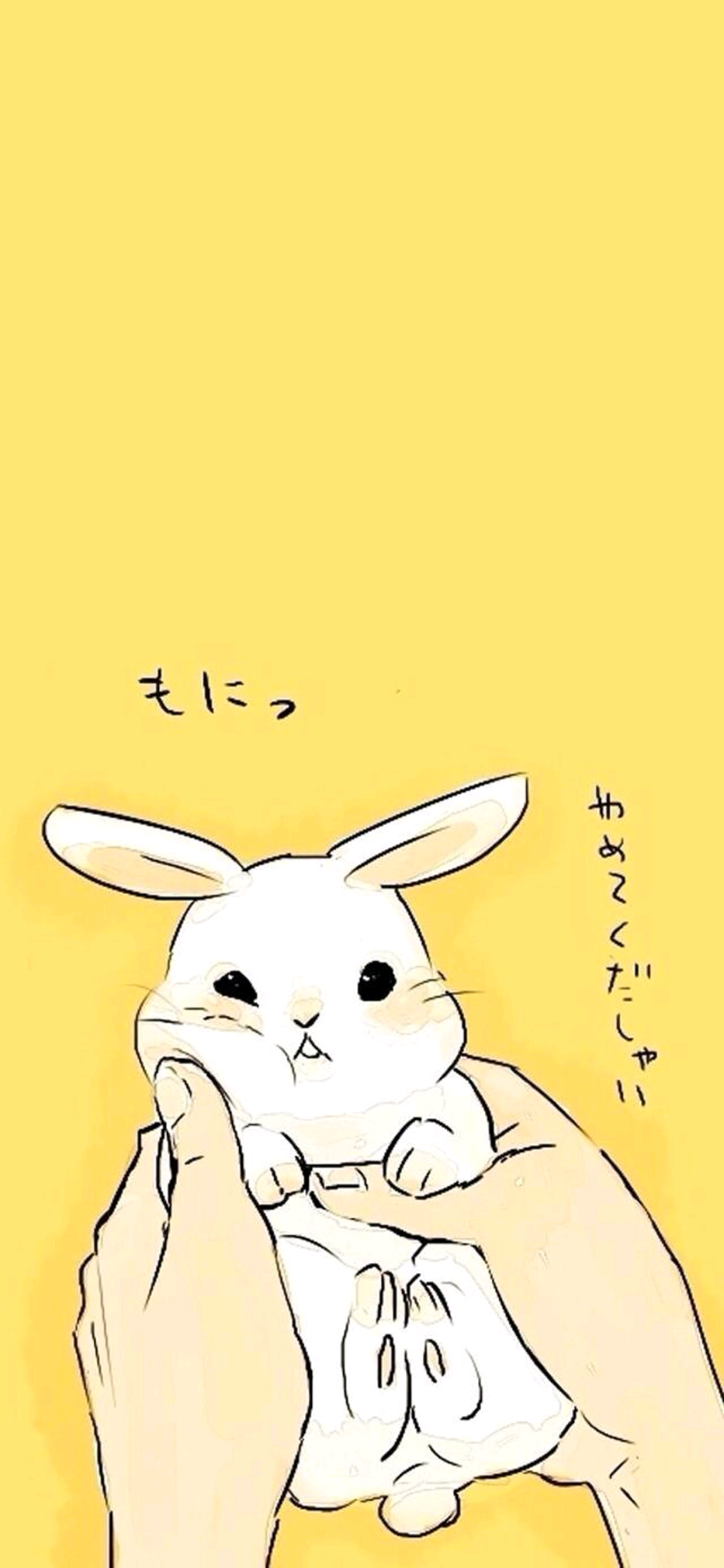 黄色背景 卡通兔子 可爱 苹果手机高清壁纸 1125x2436_爱思助手