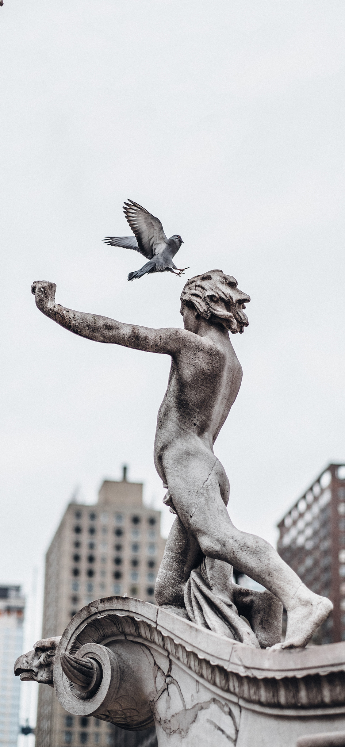 城市 建筑 雕像 鸽子 苹果手机高清壁纸 1125x2436_爱思助手