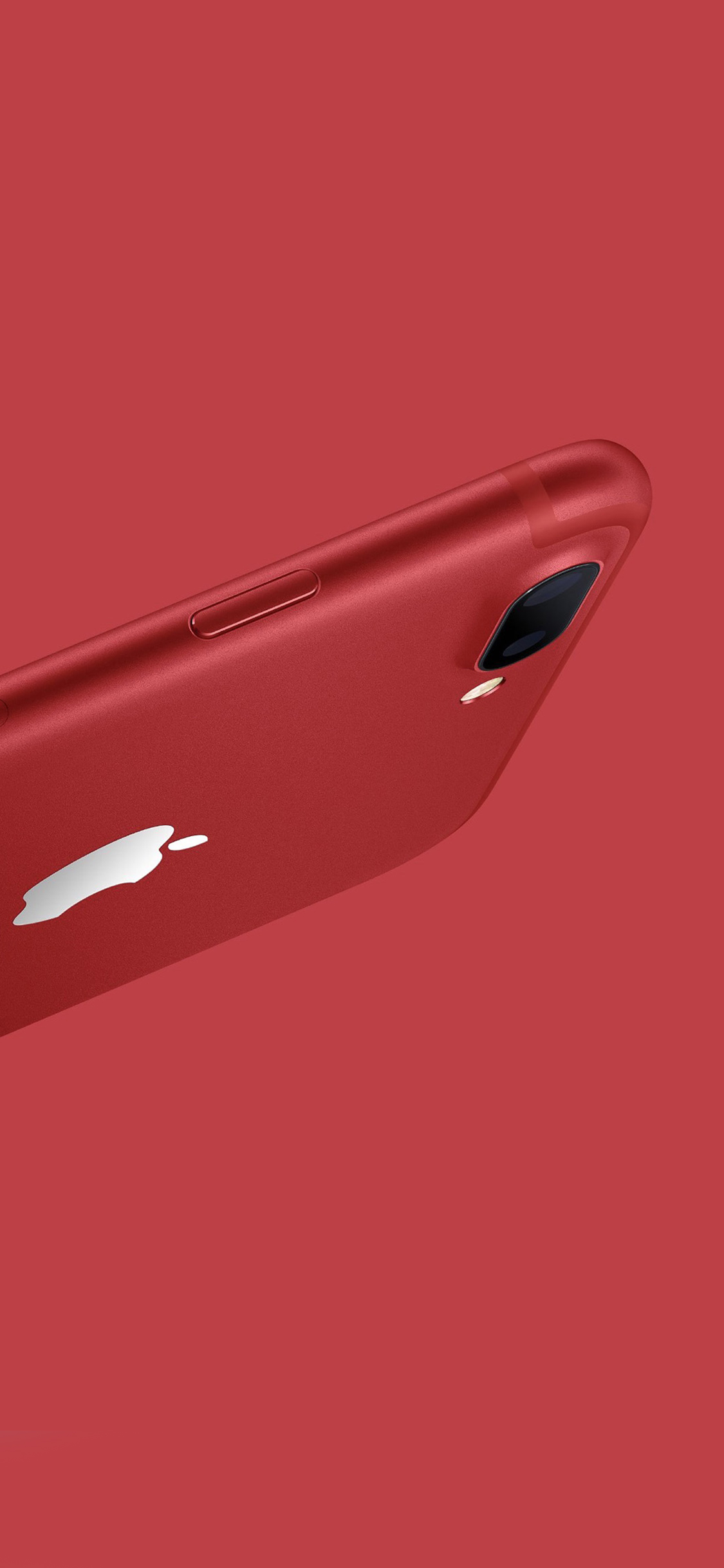 iphone8 红色 手机 苹果手机高清壁纸 1125x2436_爱思助手