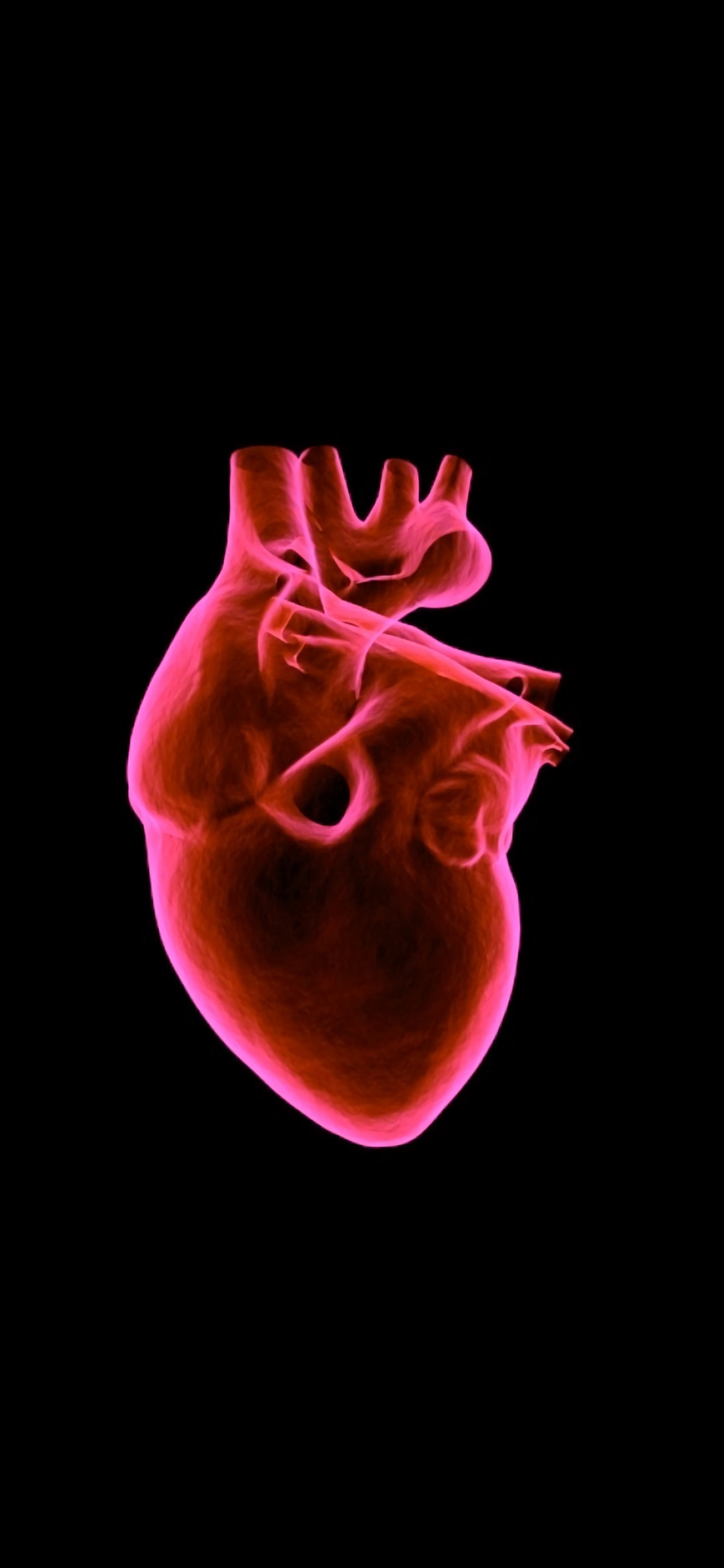 心脏 虚拟 色彩 黑 苹果手机高清壁纸 1125x2436_爱思助手