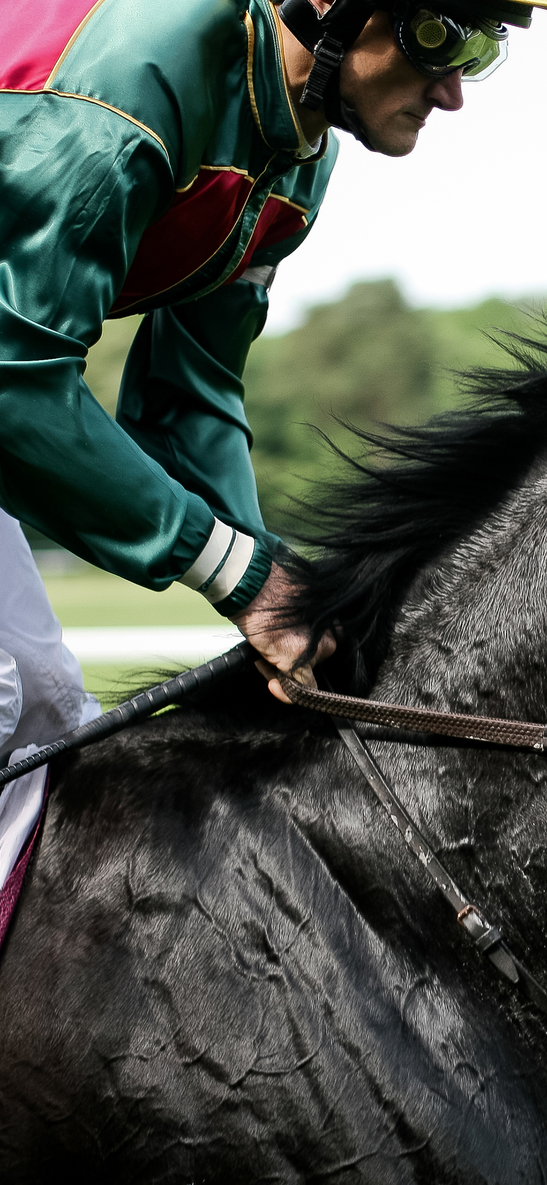马术 骑马 比赛 奔跑 运动 赛场 草场 苹果手机高清壁纸 1125x2436