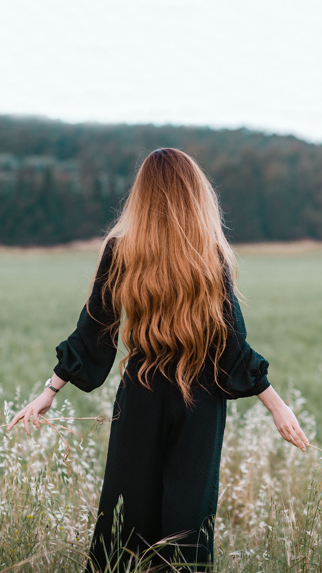 草地 花丛 女孩 背影 唯美 苹果手机高清壁纸 1
