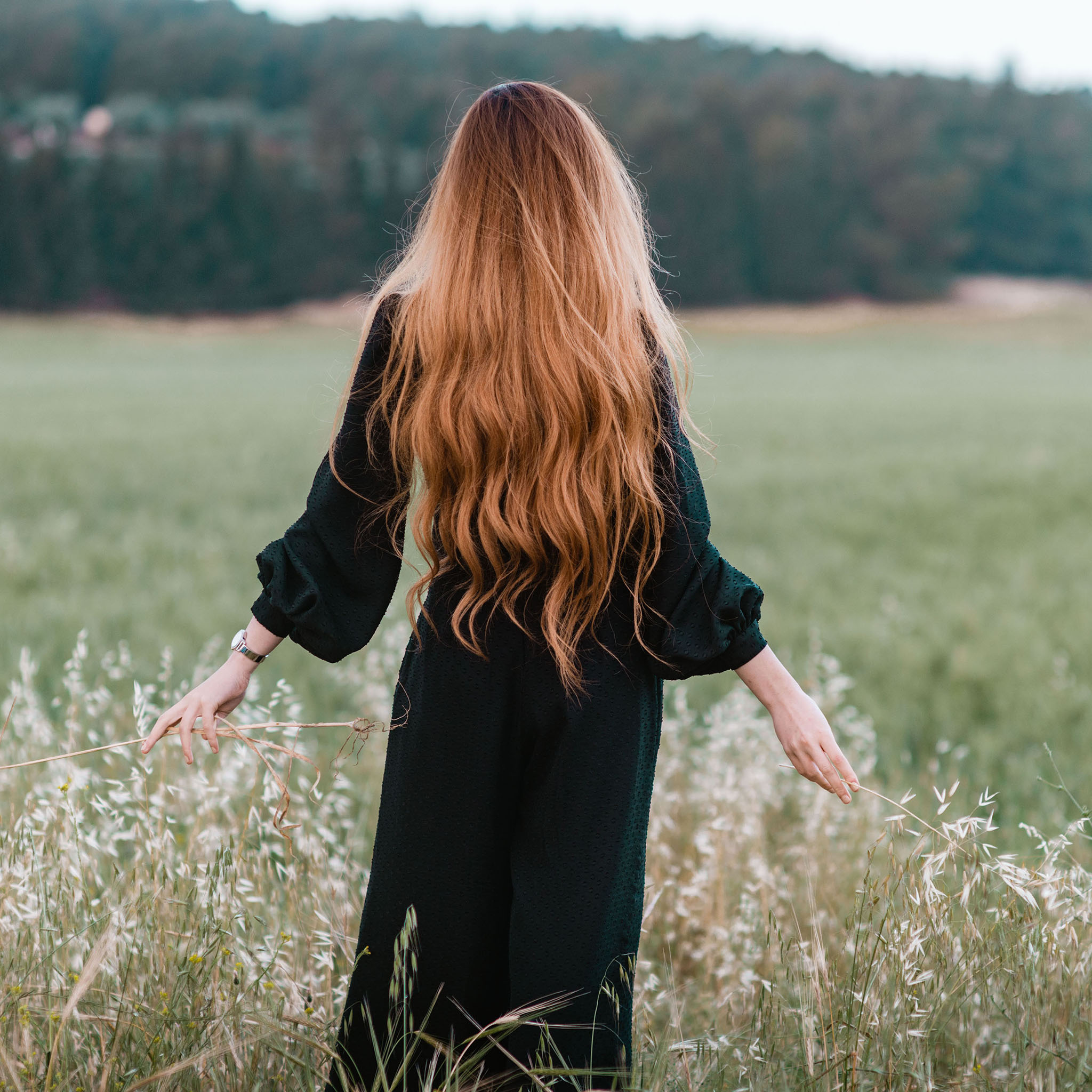 草地 花丛 女孩 背影 唯美 苹果手机高清壁纸 2