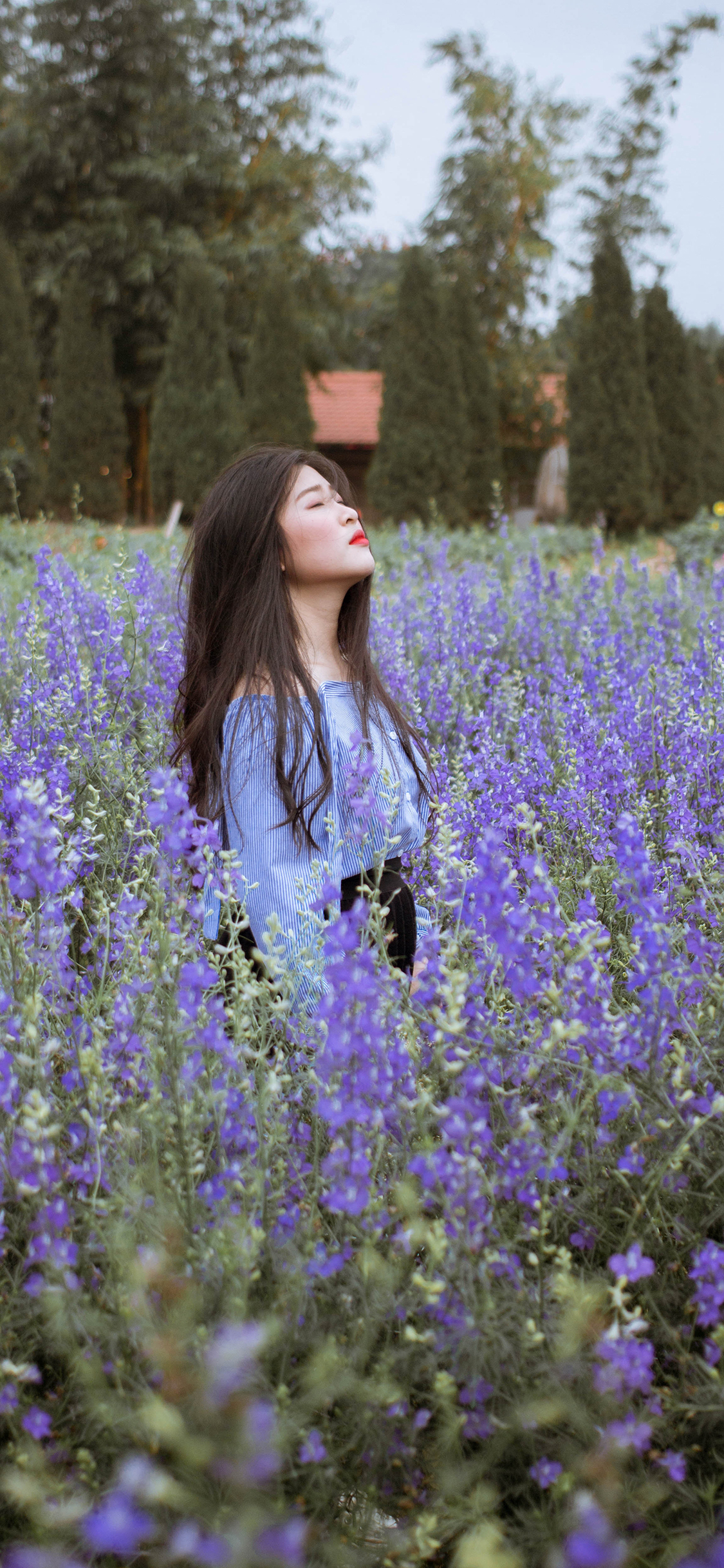 花丛 女孩 长发 花田 苹果手机高清壁纸 1125x2436 - 钱柜娱乐| 首页