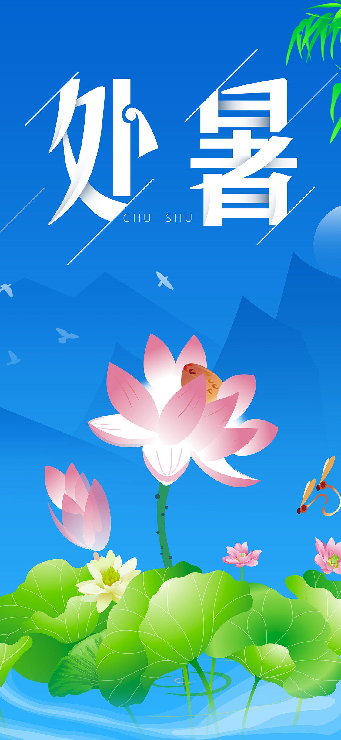 处暑 二十四节气 荷花 季节 荷叶 荷塘 苹果手机高清壁纸 1125x2436