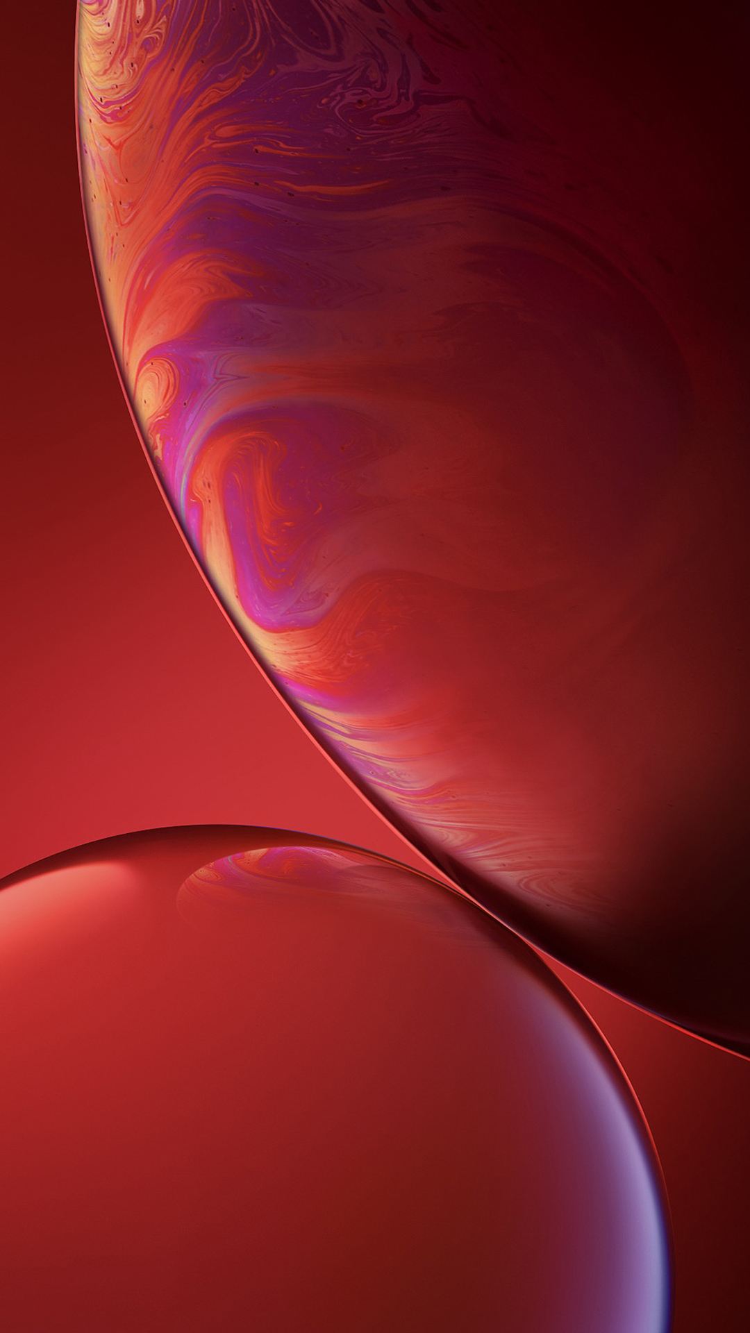 1536910687599_795457.jpg