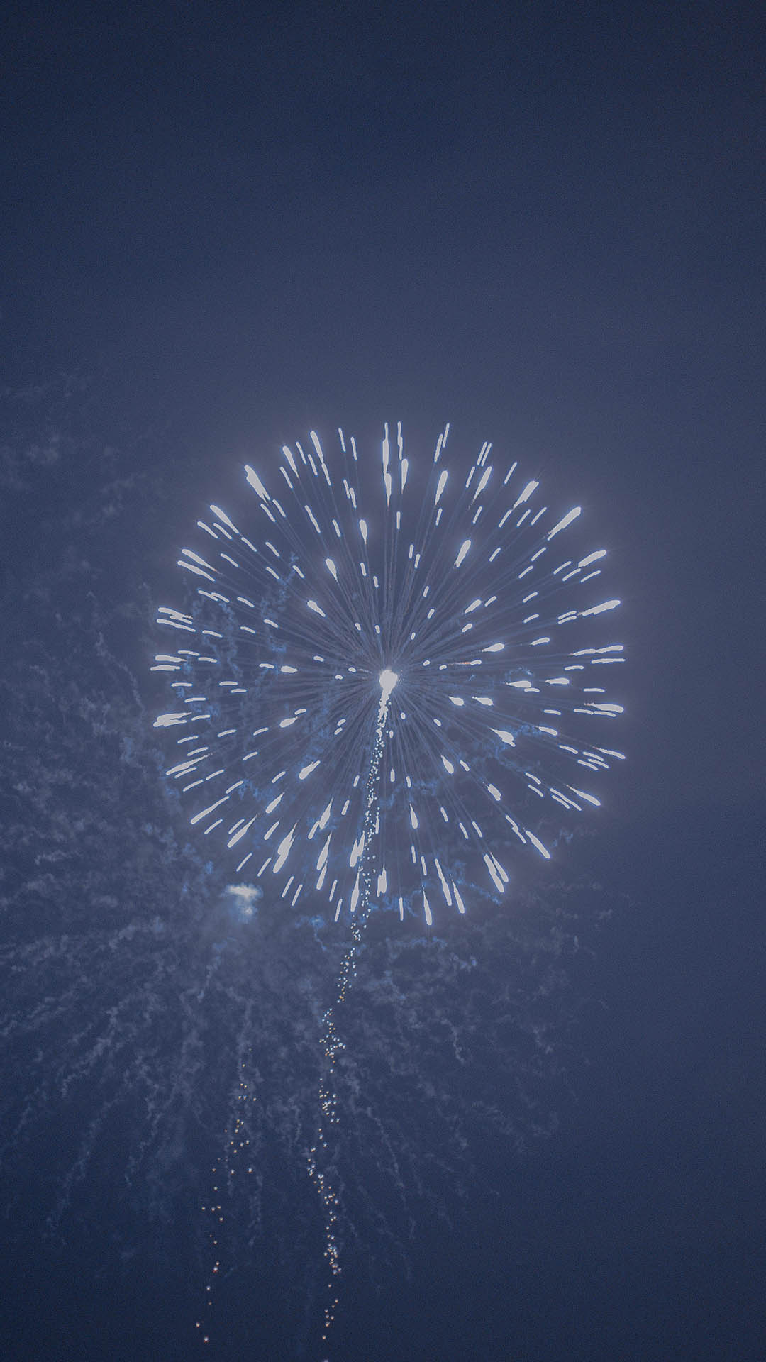 烟花燃放花火美丽天空夜晚苹果手机高清壁纸1080x1920 必威体育 首页