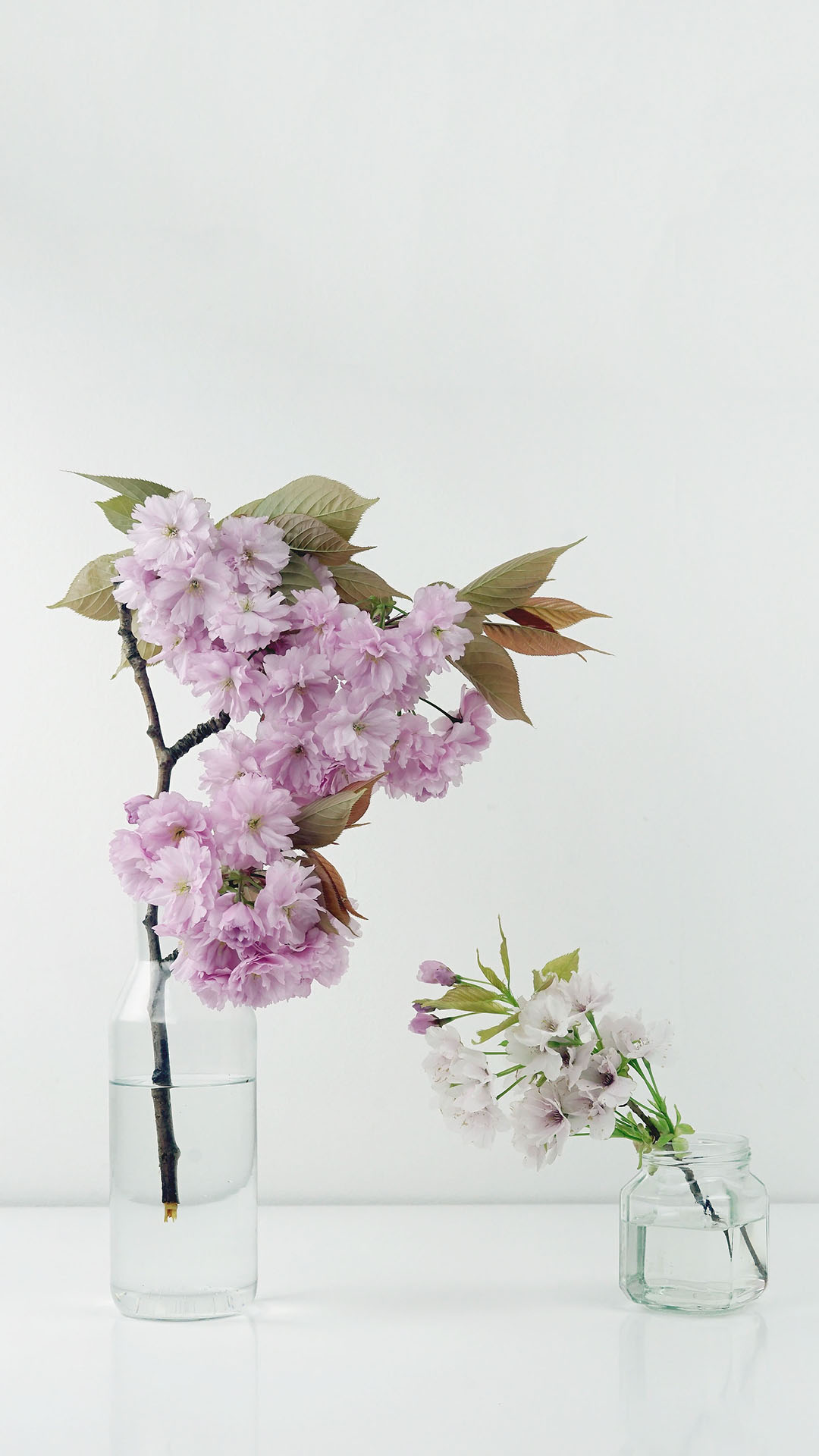 花瓶 鲜花 粉色 绽放 苹果手机高清壁纸 1080x1920