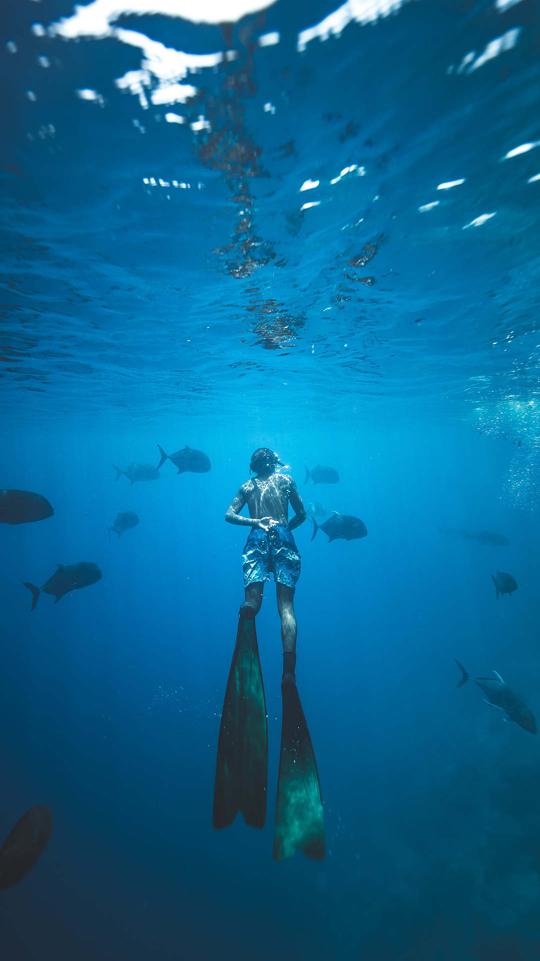 深海潜水女孩鱼群苹果手机高清壁纸1080x1920 爱思助手 深海潜水女孩鱼群苹果手机高清壁纸1080x1920 爱思助手