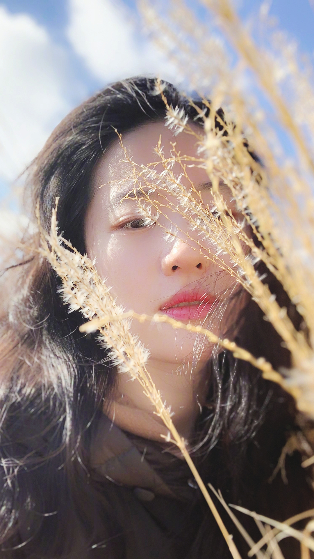 亦菲 演员 明星 艺人 苹果手机高清壁纸 1080x1