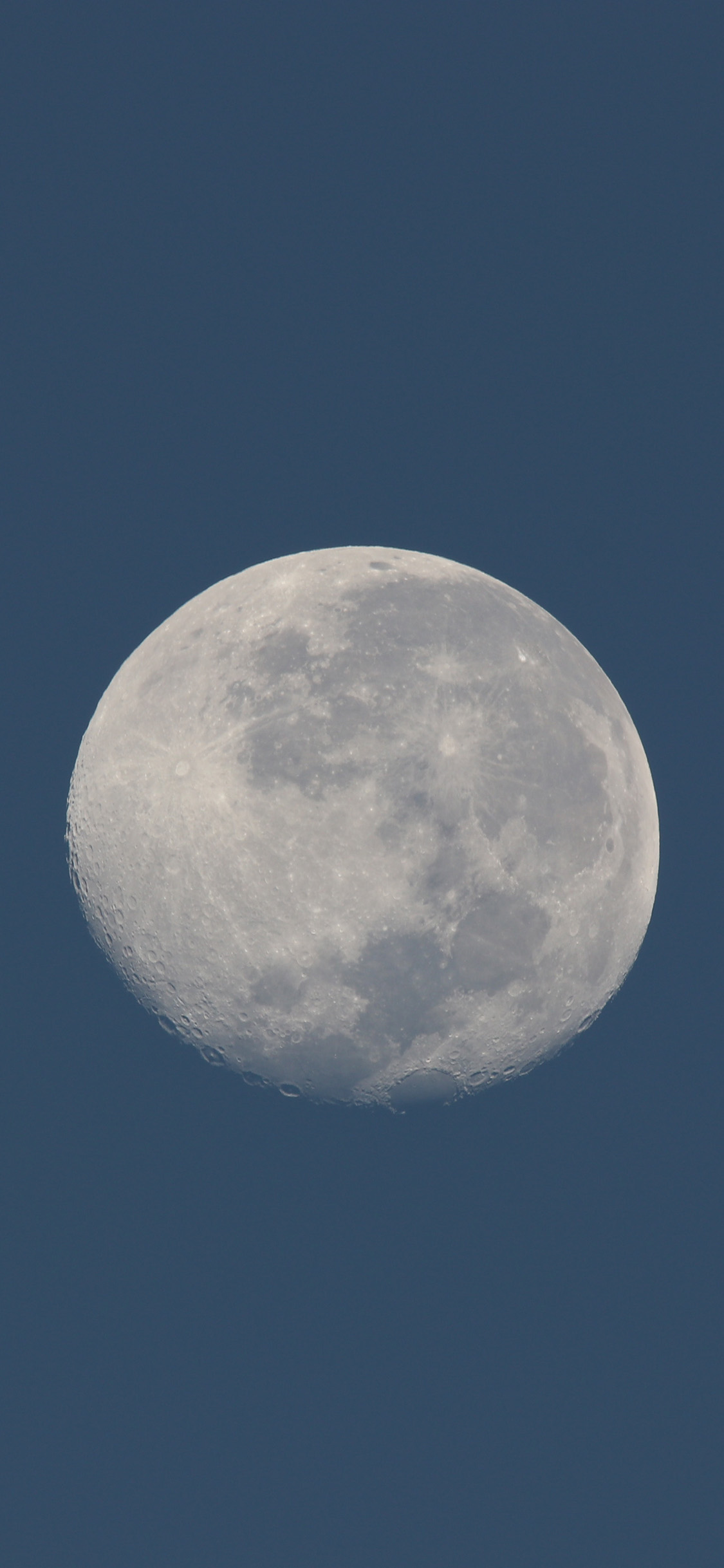 iPhone XR苹果壁纸_iPhone XR苹果壁纸下载_