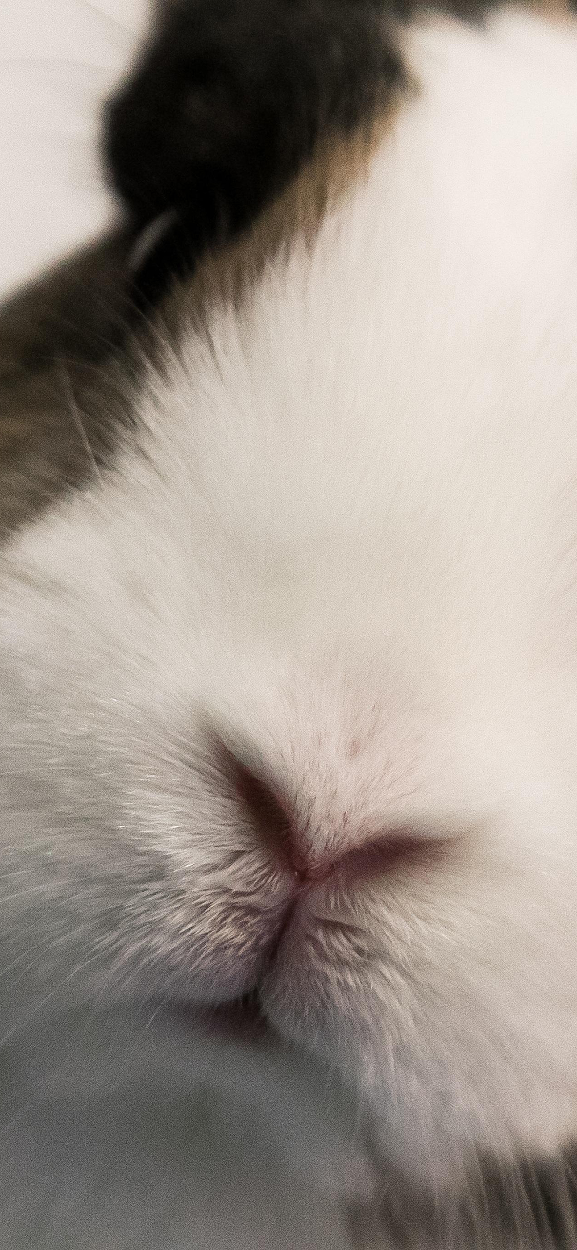 1560495012387_578096.jpg