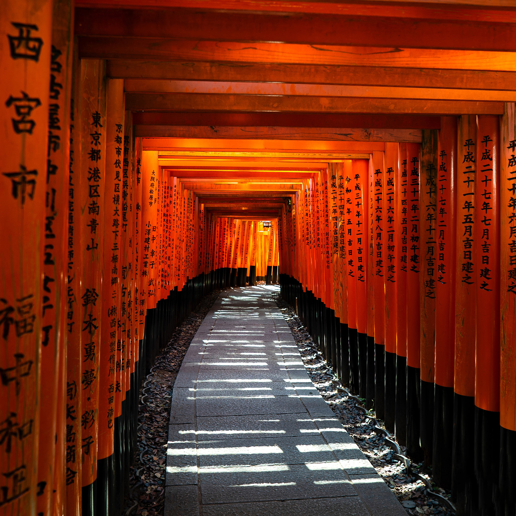 50 神社 壁紙 美しい花の画像