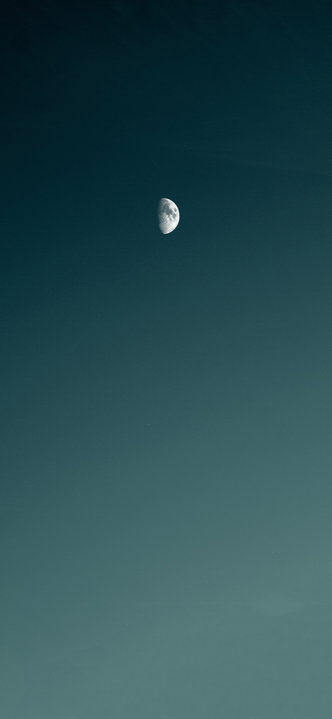 1605515586924_280955.jpg