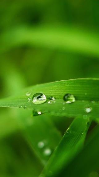 Iphone Se壁纸月排行 Iphone Se壁纸下载月排行 Iphone Se壁纸免费下载月排行 资源中心 第4364页