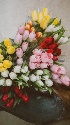 Iphone 6 6s壁纸 Iphone 6 6s壁纸下载 Iphone 6 6s壁纸免费下载 资源中心 第3847页