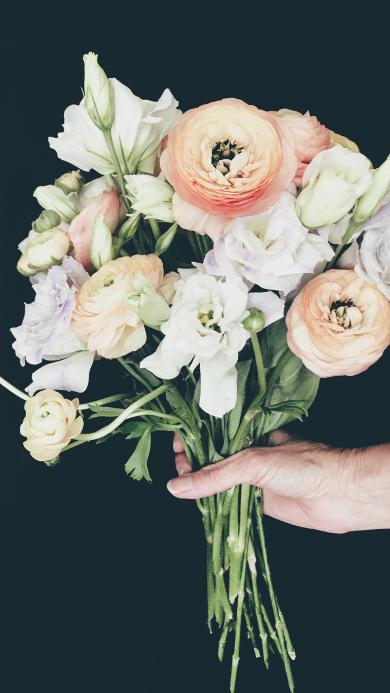 Iphone 6 Plus 6s Plus植物壁纸 Iphone 6 Plus 6s Plus植物壁纸下载 Iphone 6 Plus 6s Plus植物壁纸免费下载 资源中心 第345页