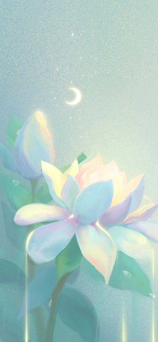 すべての花の画像 ベスト蓮 壁紙 Iphone