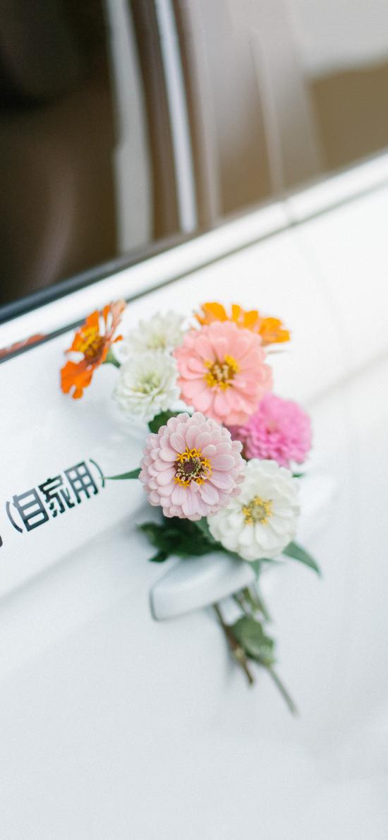 Iphone Xr壁纸 Iphone Xr壁纸下载 Iphone Xr壁纸免费下载 资源中心 第2725页