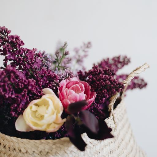 Ipad 2植物壁纸 Ipad 2植物壁纸下载 Ipad 2植物壁纸免费下载 资源中心 第146页