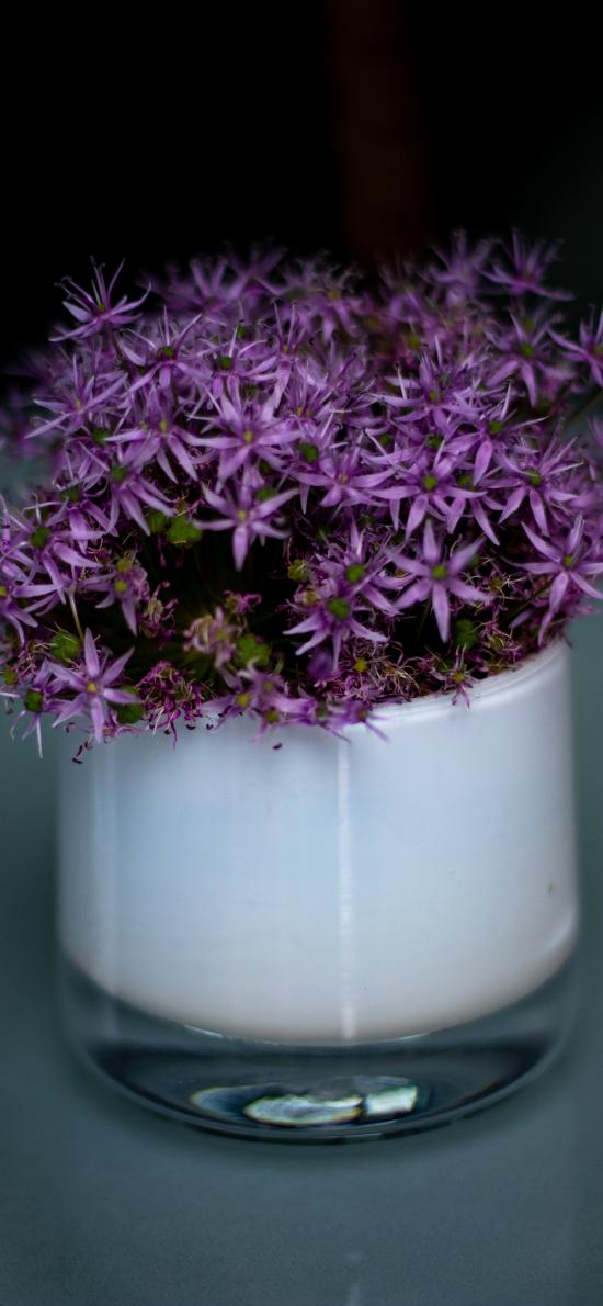 ベスト50 紫 花 壁紙 Iphone 美しい花の画像