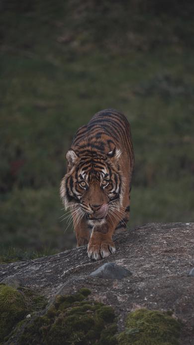 Iphone 7 Plus壁纸排行榜 Iphone 7 Plus壁纸下载排行榜 Iphone 7 Plus壁纸免费下载排行榜 资源中心 第3981页