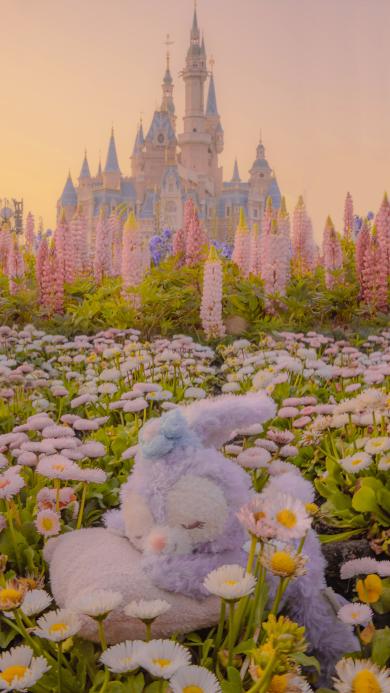 Iphone 8 Plus壁纸 Iphone 8 Plus壁纸下载 Iphone 8 Plus壁纸免费下载 资源中心 第9页